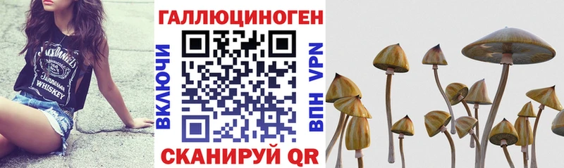 Купить закладки  Красный Холм  Галлюциногенные грибы прущие грибы 